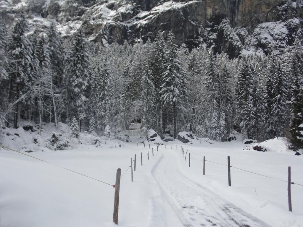 Appartment Chalet Sonnenheim Kandersteg Eksteriør bilde