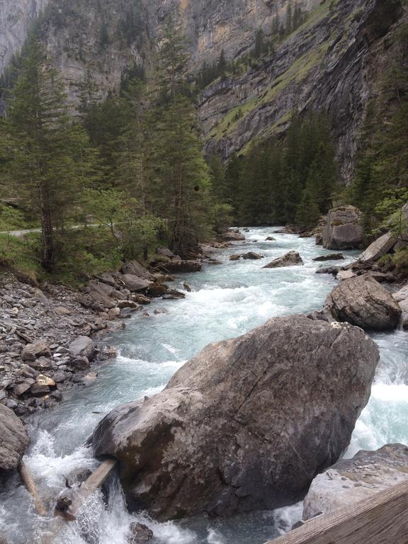 Appartment Chalet Sonnenheim Kandersteg Eksteriør bilde